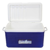 KüHlbox Family Thermobox KüHltasche Camping KüHlschrank Eisbox KüHlkiste 52L
