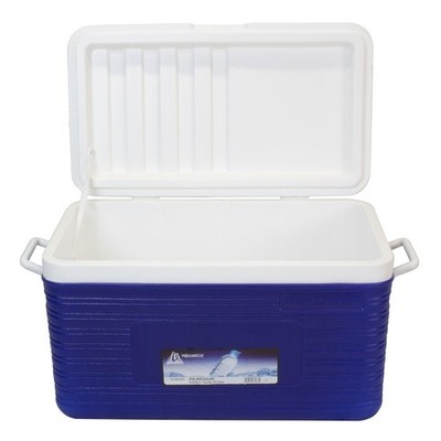 Kühlbox Family Thermobox Kühltasche Camping Kühlschrank Eisbox Kühlkiste 52L