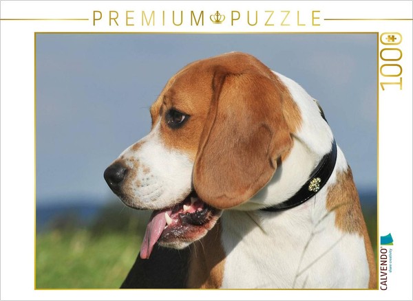 Calvendo Puzzle Beagle - Portrait Of A Male Dog | 1000 Pieces, Finished Size 25.-image