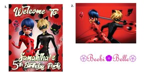 Detalles Acerca De Milagroso Ladybug Cat Noir Personalizado De Cumpleaños Fiesta Banner Telón De Fondo Mostrar Título Original