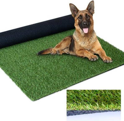 Artificial Grass Outdoor Rug, 6FT x 10FT (60 Square Feet) 0.8 inch Realistic Fak