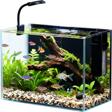 2.5 Gallon Nano Fish Tank with LED Light, Filter, Gravel Rock for Betta