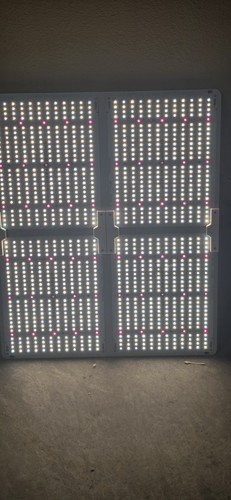 SF4000 Spider Farmer LED Leuchten 450 Watt - Bild 4 von 8