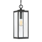 Quoizel Black Brass Chandeliers & Ceiling Fixtures