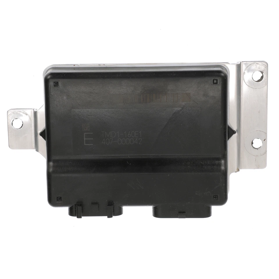 Módulo de control del acelerador GM 03-07 OEM NUEVO genuino Hummer H2 Chevy GMC 12588923 Foto 2 de 4