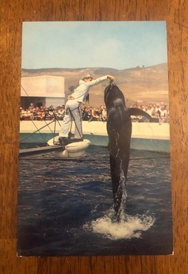 Marineland Of The Pacific -  Bubbles - Palos Verdes, California. (WP8)