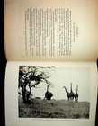 Big Game Lion Hunting African Adventures Frederick B. Patterson Book 1928 — photo 10