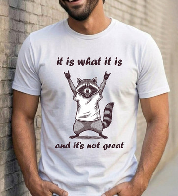 It Is What It Is And Its Not Great T-Shirt - Waschbär sarkastischer Panda Meme Tee