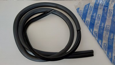 46720652  FIAT PUNTO CABRIO - RUBBER GASKET FOR LEFT DOOR ( VANO PORTA SX )