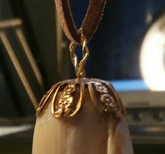 Picture 5 of 11