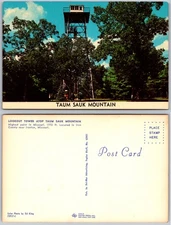 Lookout Tower Taum Sauk Mountain Ironton Missouri Trees Postcard