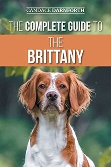 The Complete Guide to the Brittany: Selecting, Prepa... | Buch | Zustand wie neu