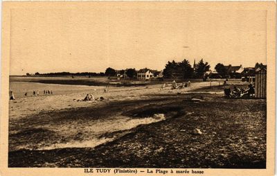 AK Insel TUDY - Der Strand bei Ebbe (252666)