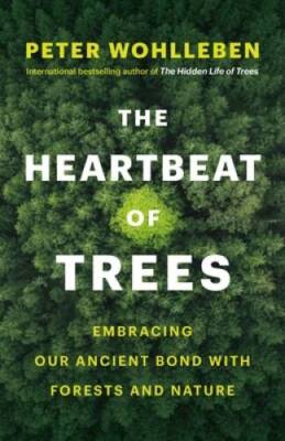 The Heartbeat of Trees: Embracing Our Ancient Bond with Forests and - GOOD