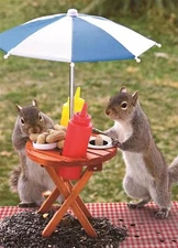 Springbok Squirrel Feeder 350 Piece Jigsaw Puzzle