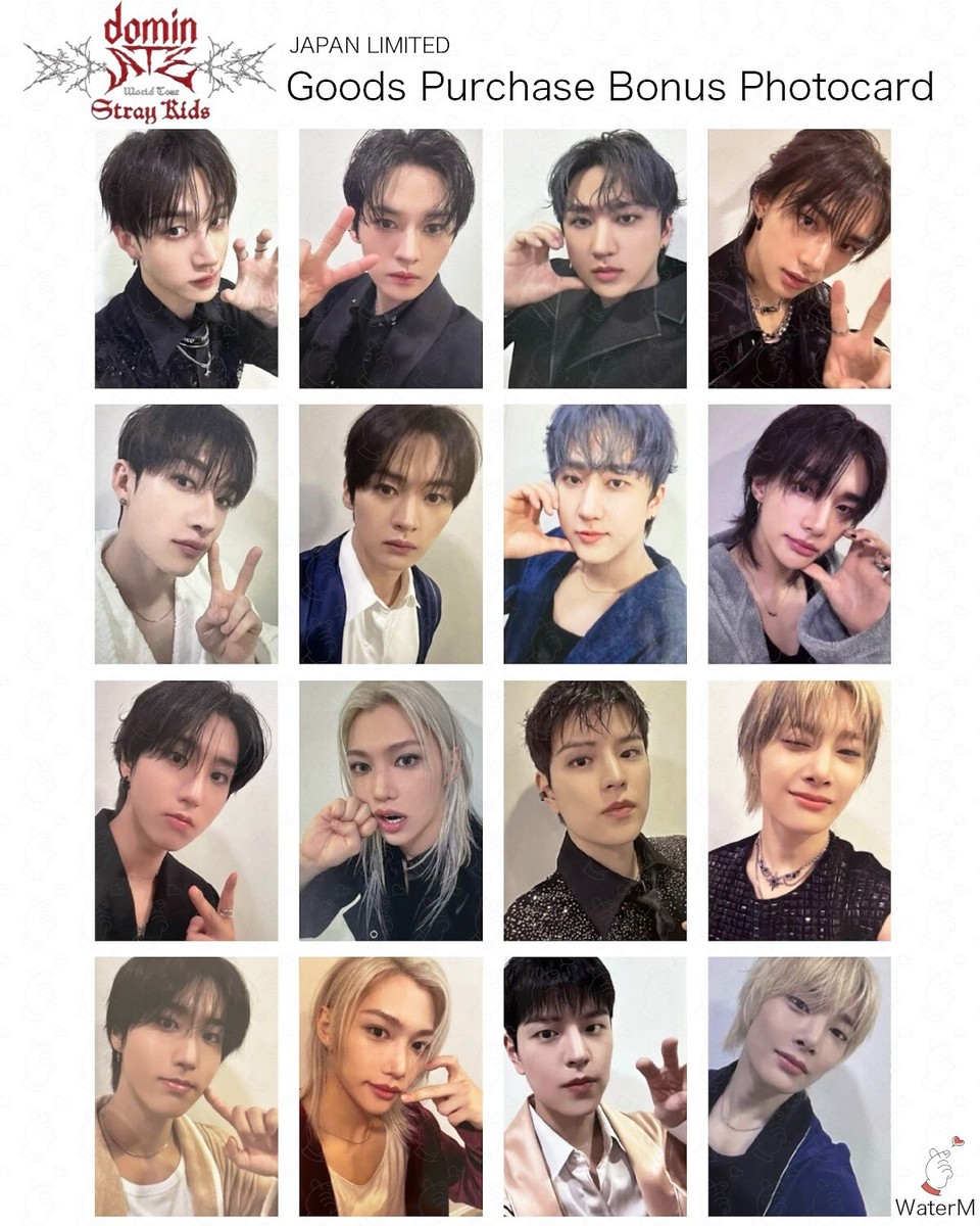 Stray Kids GOODS PURCHASE BONUS OFFICIAL PHOTOCARD JAPAN LIMITED BENEFIT
