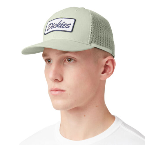 Dickies Men's Patch Logo Trucker Celadon Green/Cloud (C2C) Snapback Hat Cloth... - Picture 1 of 3
