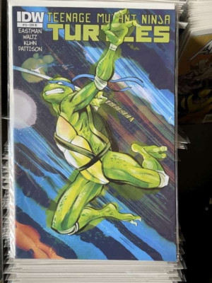 TEENAGE MUTANT NINJA TURTLES #15 RI COVER 1:10 (2011 Series)  TMNT  IDW  NM