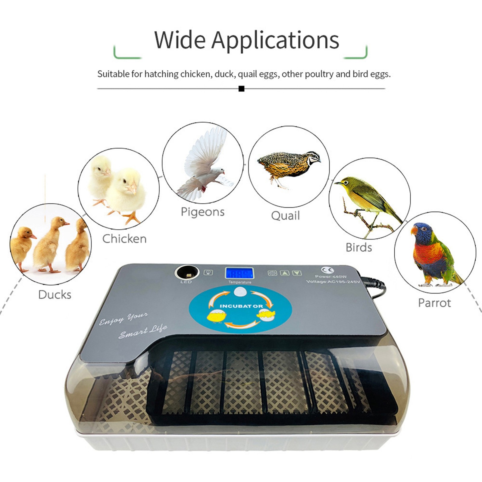 Digital Egg Incubator Automatic Eggs Hatcher With Eggtester Automatic Egg Turnin