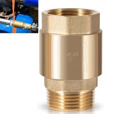 One Way Brass Check Valve, 1" NPT male in, 1" FNPT female out Backflow Preventer