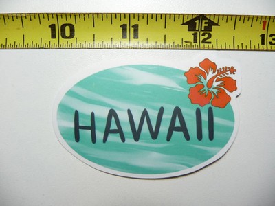 NICE HAWAII WATER HIBISCUS SCENE SMALL STICKER DECAL WALL FUNNY
