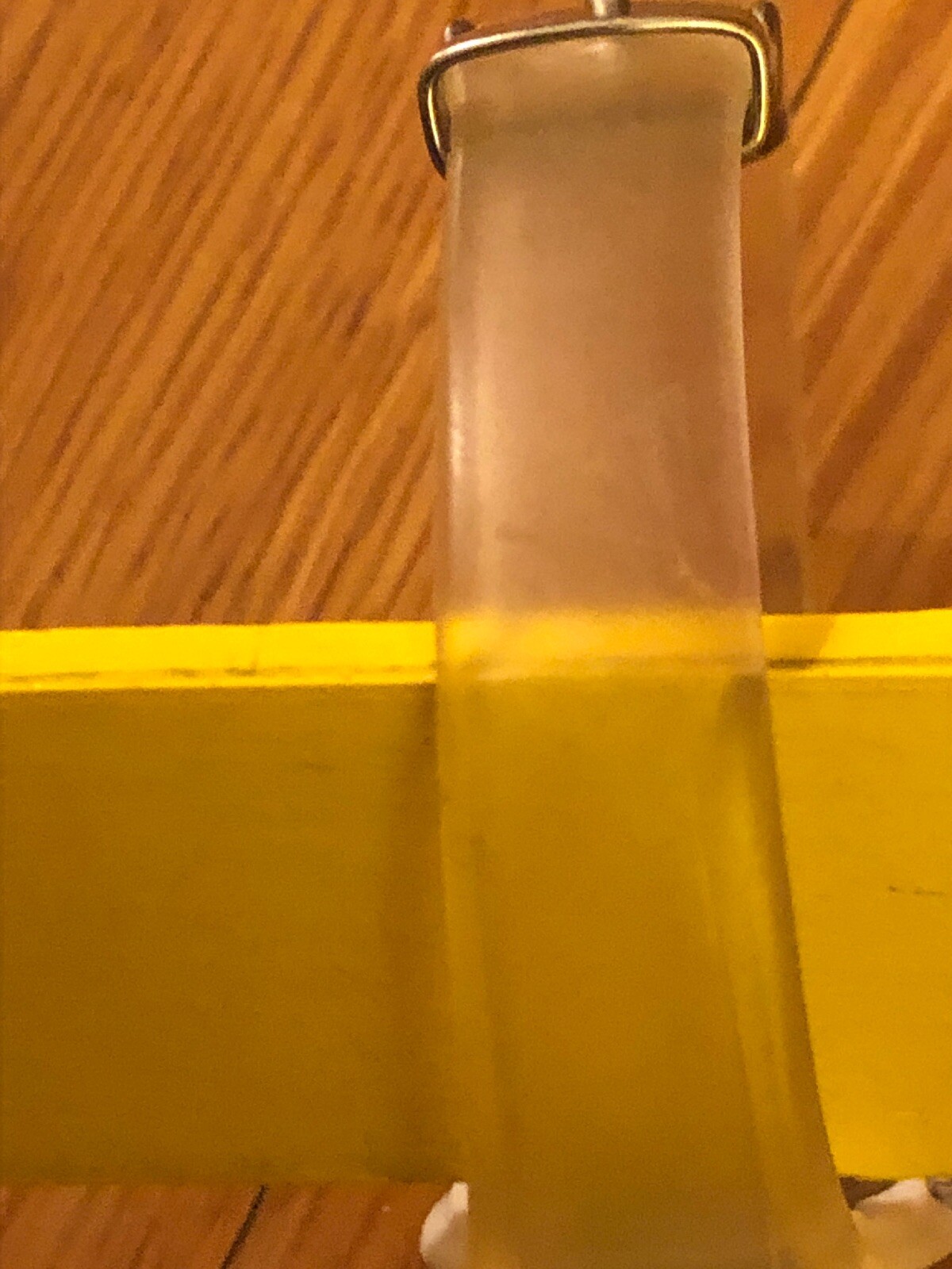 Dakota Watch Waterproof 330 Ft Stainless Transparent wrist Band Box