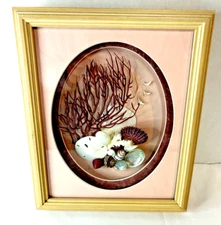 Framed Shadowbox Nautical Coral  Abalone & Sand Dollar Sea Shell Collage Artwork