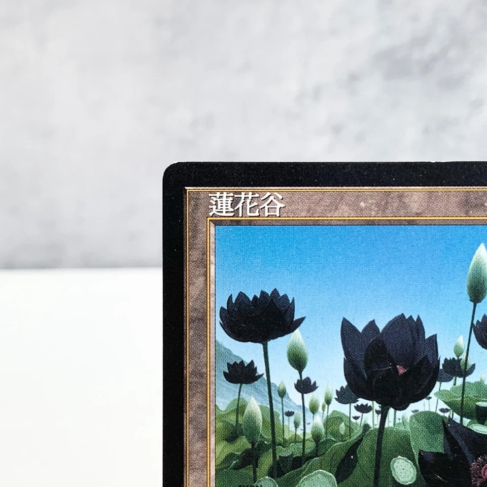 MTG Lotus Vale Weatherlight Chinese Traditional Rare Land John Avon 1997 Japan - Image 2 of 4