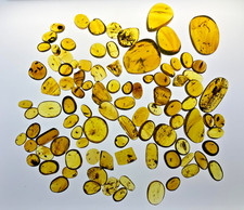 A101 BU96group 96 polished stones w/insects 144g Burmese Amber Burmite 99mya