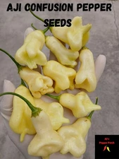 15 Aji Confusion Pepper Seeds