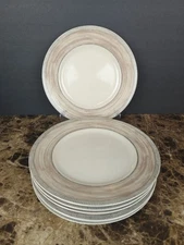 Set Of 6 PTS International Interiors SANDSTONE Dinner Plates 10.75" Stoneware