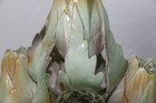 Foto 7 di 20