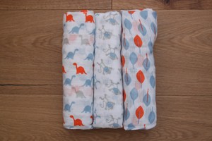 aden and anais dinosaur swaddle