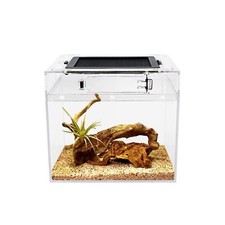 Mini Reptile Terrarium8" x 8"x 8" Reptile Tank with Full View Visually Appeal...