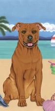American Pit Bull Summer Fun Beach Towel
