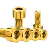 6pieces M10x25 Gold Titanium Ti Gr5 Allen Hex Hexagon Socket Cap Head Bolt Screw 6pieces M10x25 Gold Titanium Ti Gr5 Allen Hex Hexagon Socket Cap Head Bolt Screw