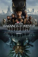 Black Panther Wakanda Forever Movie Poster 18'' X 28''ID-80-3