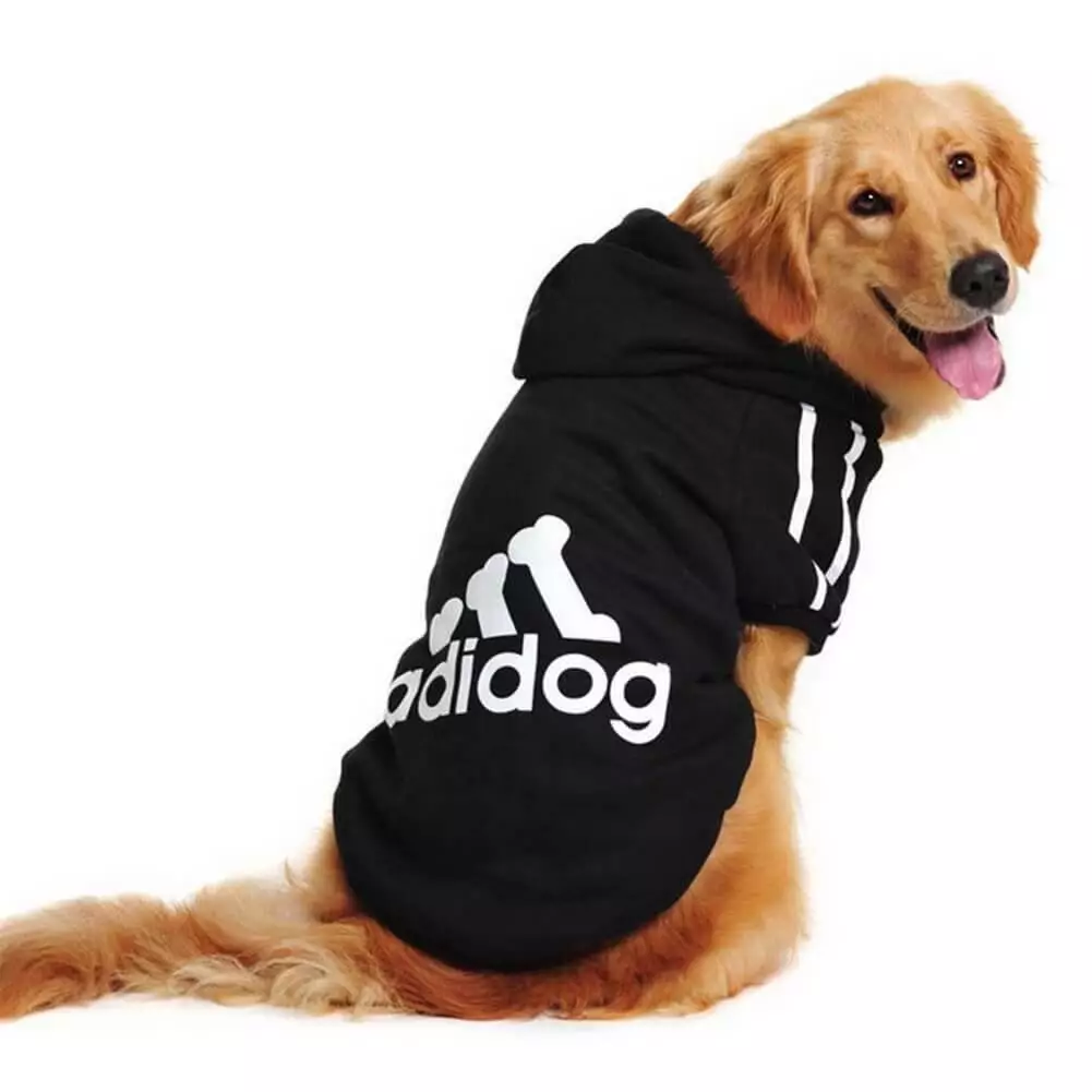 Adidog Pet Dog v tements mignons surv tement manteau capuche 4 jambes combinai
