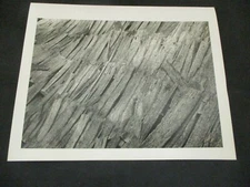 1980s Vintage E.D. Barnes Lehigh Valley Pro Photo #726 Wooden Roof Shingles