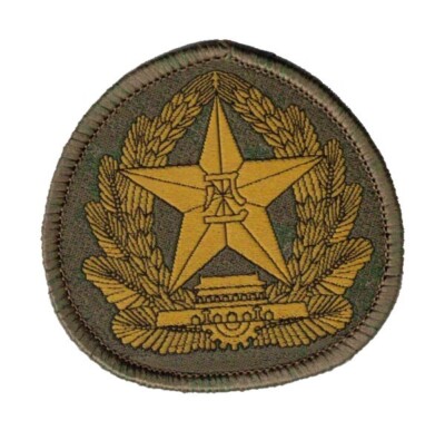 Chinese Type 21 Cap Patch