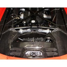 Lamborghini Aventador Carbon Fiber 5-Piece Engine Bay Kit by RSC USA