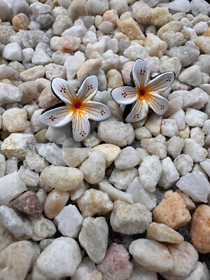 A Pair Of Small Hand Painted Hair Clips - White Flowers
