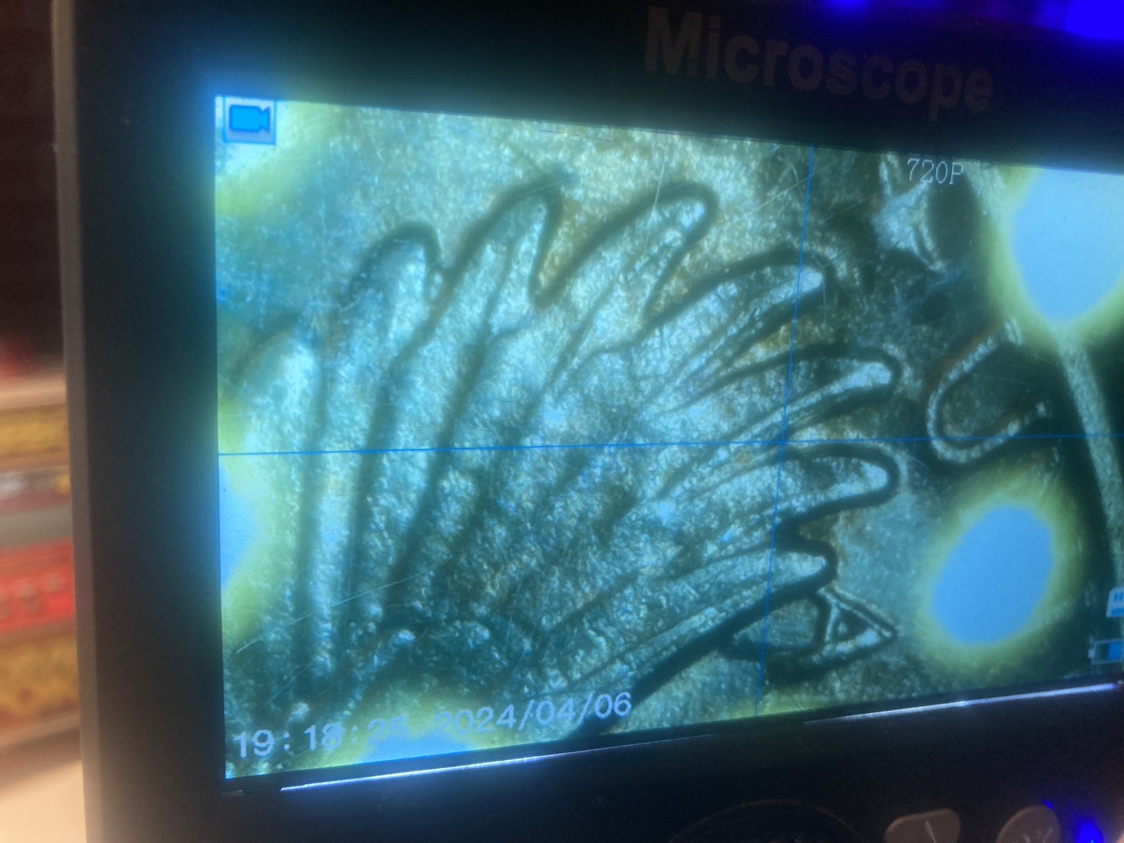 ( 1919-P Standing Liberty Quarter ~ AU++ Cndtn ~    Full Head. Strong Date.