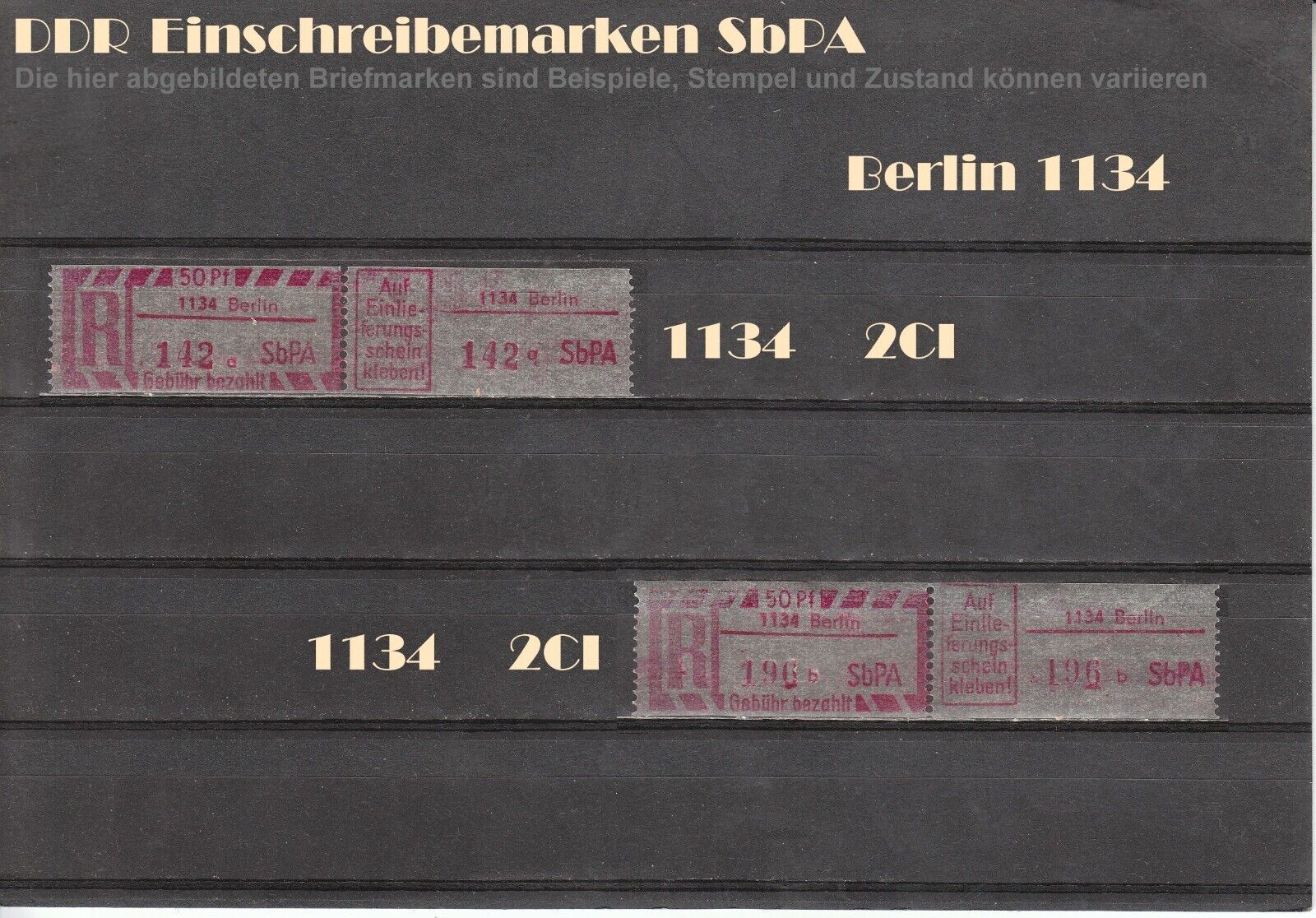 Bild 7 von 19