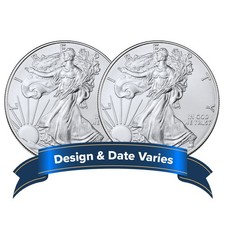 Lot Of 2 - 1 American Silver Eagle 1 Oz Random Year Bu