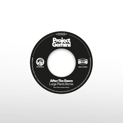 Vinile - Project Gemini - After The Dawn (Large Plants Remix)/Darkness Rising  -