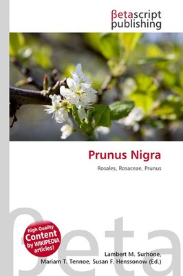 Lambert M. Surhone (u. a.) | Prunus Nigra | Taschenbuch | Englisch (2026)