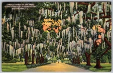 Vtg Linen Postcard Avenue Of Oak Trees New Orleans, LA 1930s