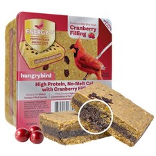 Hungrybird Energy No-Melt, High-Protein Suet Cake with Cranberry Filling