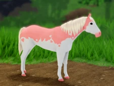 Wild Horse Islands Valentine's Limited Pink Splash Paint